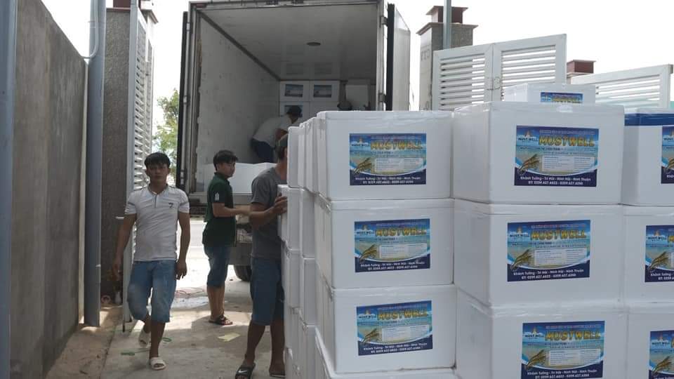 Giao hàng vận chuyển Tuy Hoà Phú Yên mặc hàng đông lạnh