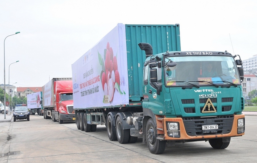 Gửi hàng vận chuyển Hải Phòng giao phát ship đi Tây Ninh Chành nhà xe