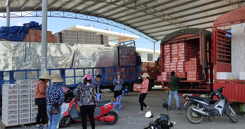 Giao phát ship Thanh Hóa chành nhà xe đi Quảng Ngãi gửi hàng vận chuyển